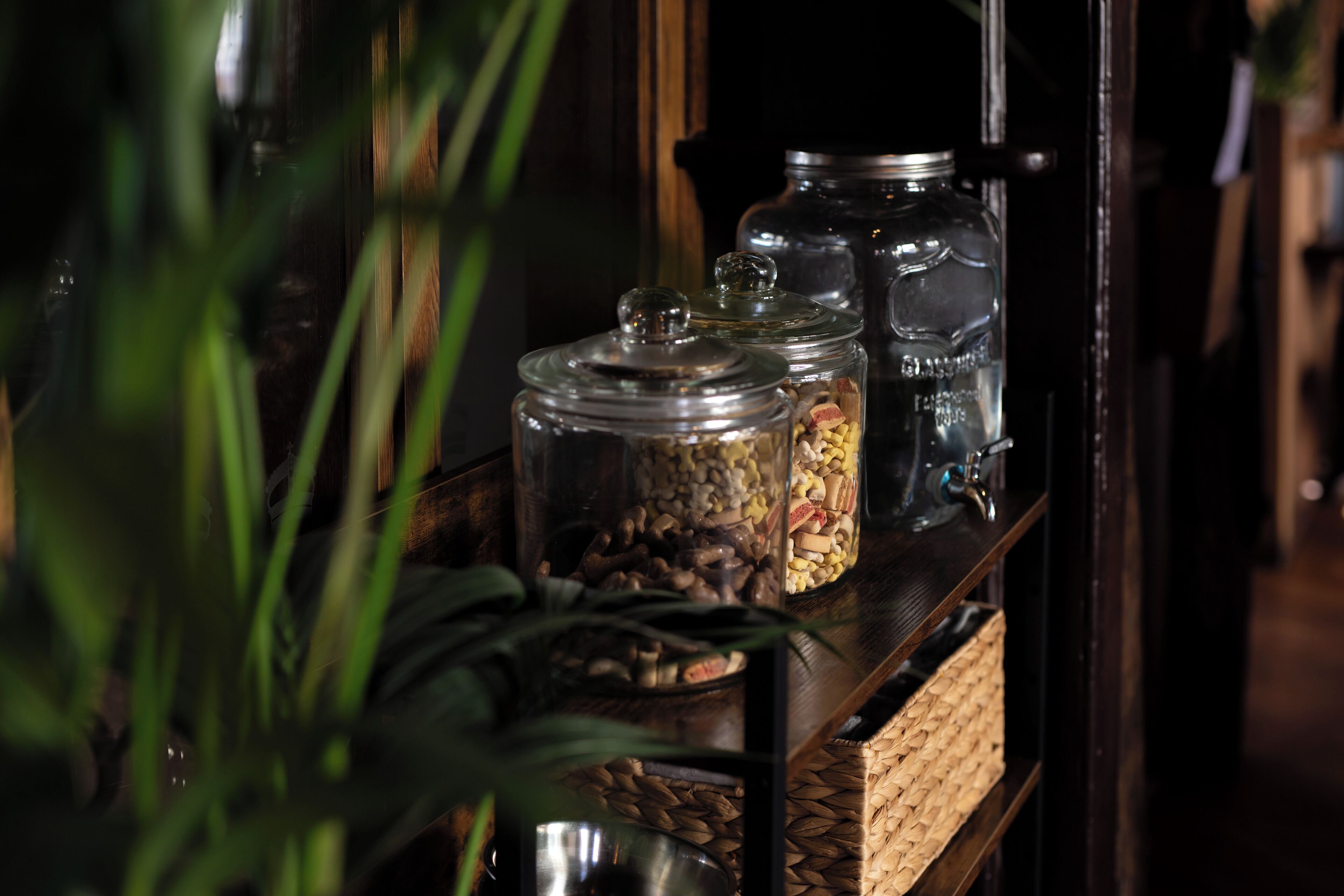 A shelf with glass jars containing various items, possibly spices or condiments, and a woven basket.