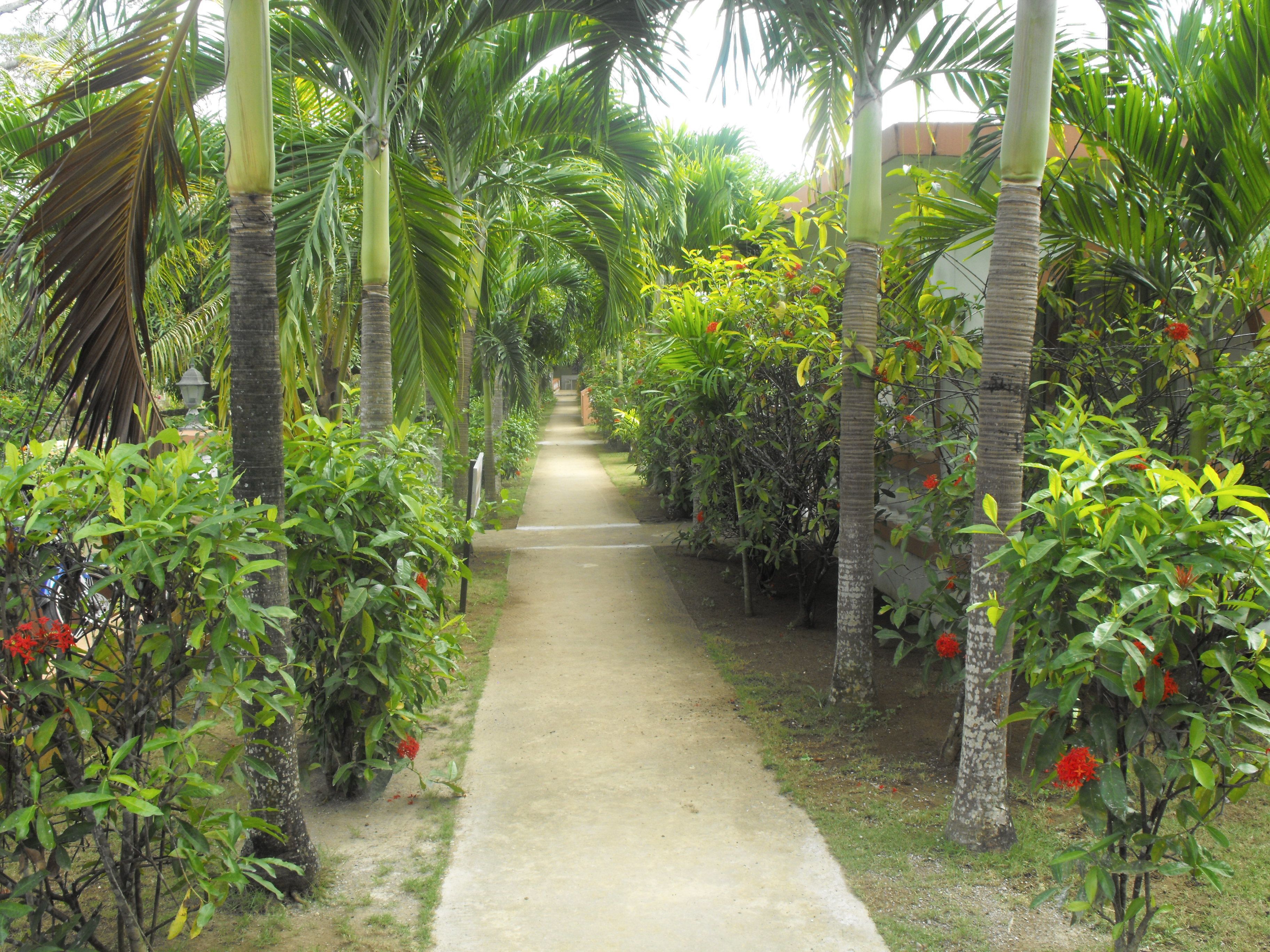 Jardines del alojamiento