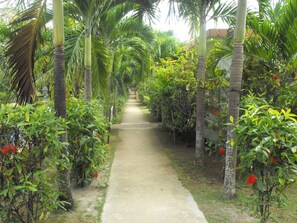 Jardines del alojamiento