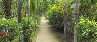 Hidden Paradise Resort