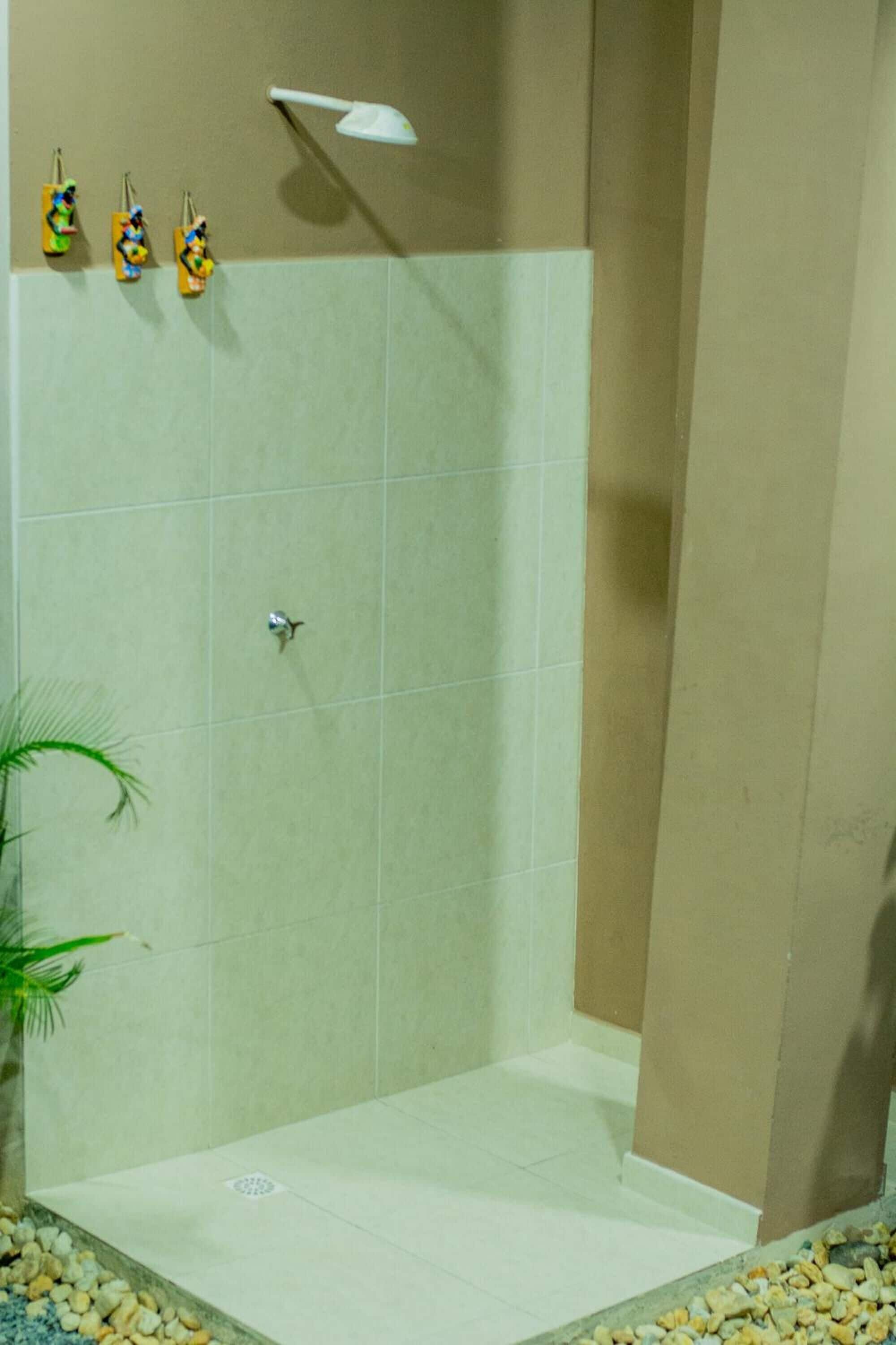Zona de ducha con pared de azulejos, ducha de mano y una planta en maceta.