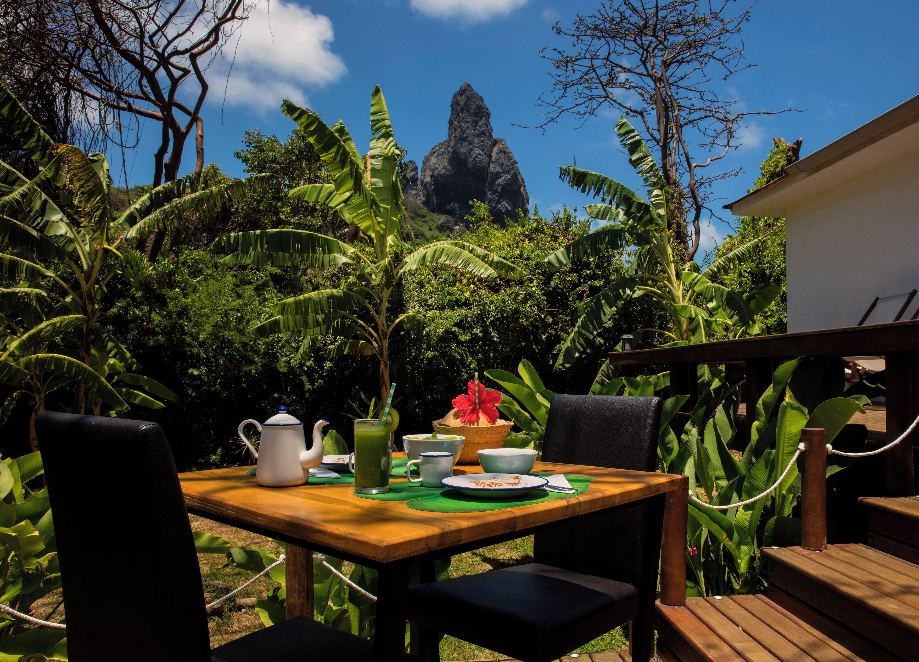 A wooden table with chairs, a pitcher, cups, and a plate of food, set against a backdrop of lush greenery and a rock formation.