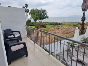 Terrace/patio - La Ribereña (Ajijic)