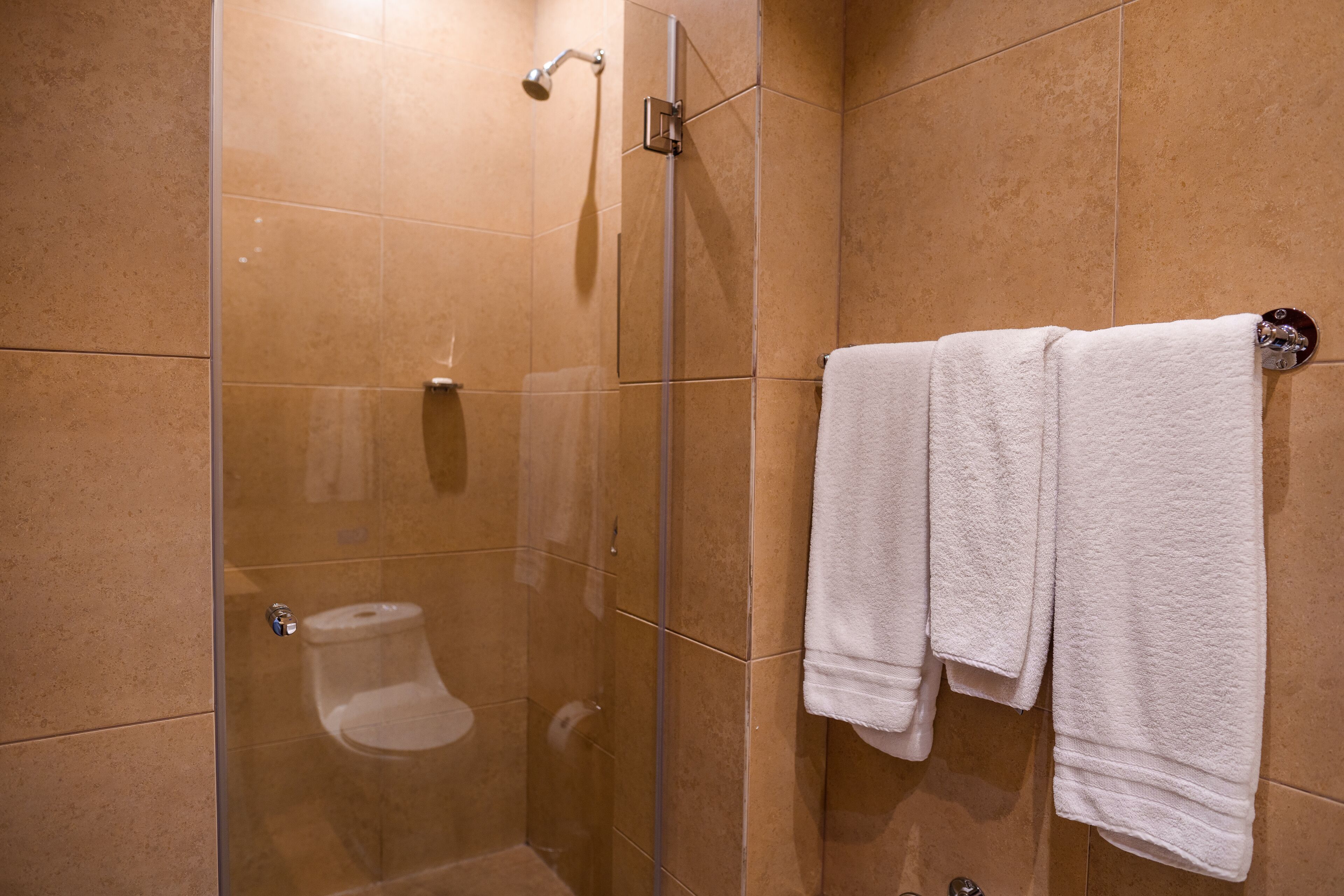 A glass-enclosed shower with a white towel rack and a white towel.