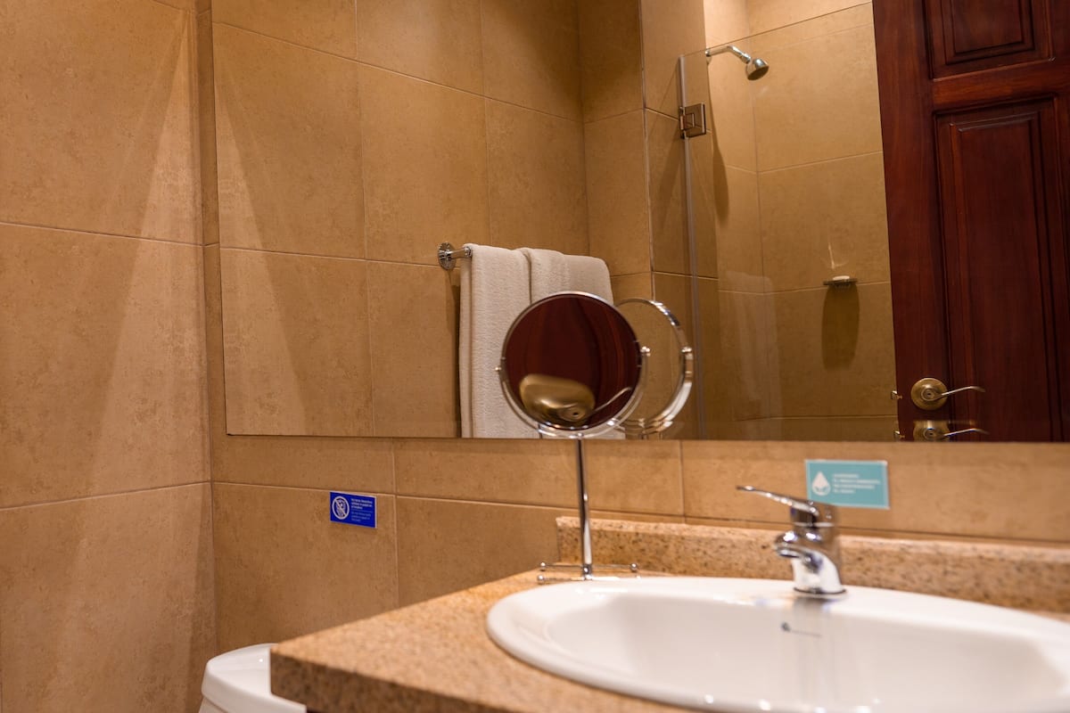 economy double room | bathroom | shower, free toiletries, hair dryer, towels