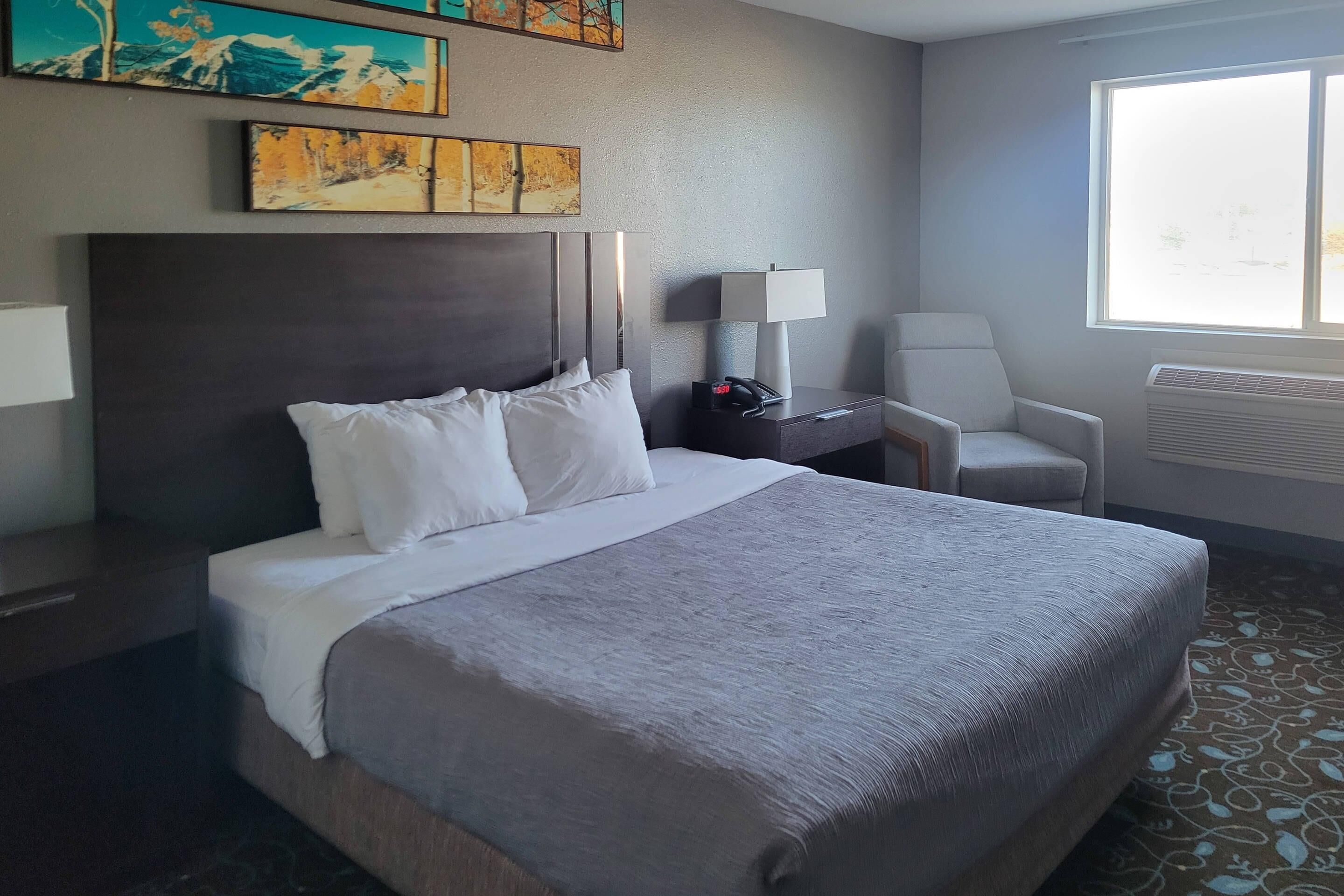 Habitación de hotel con una cama grande, una mesita de noche con lámpara, una silla y una obra de arte en la pared.