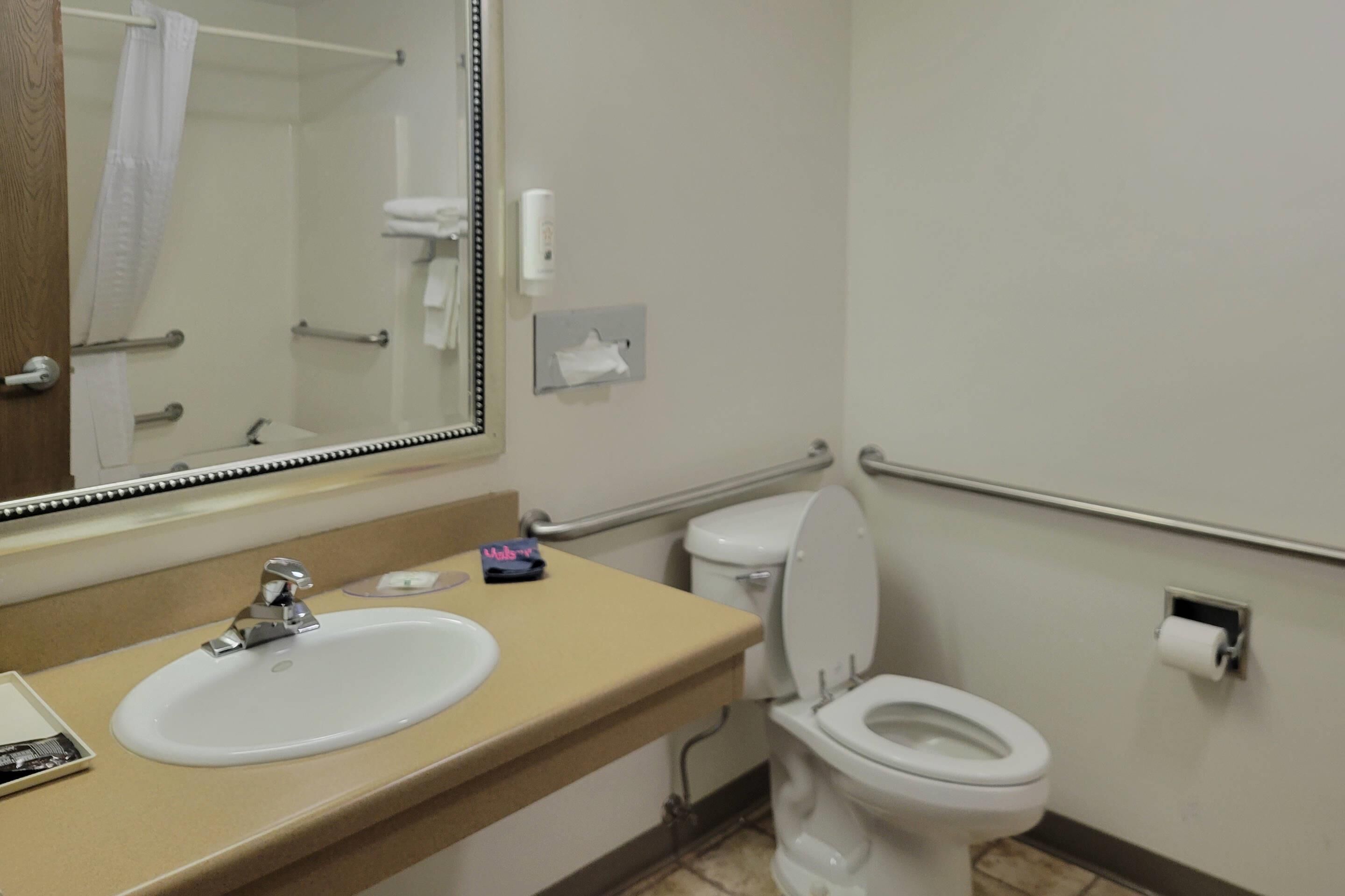 A bathroom with a sink, mirror, toilet, and handrails.