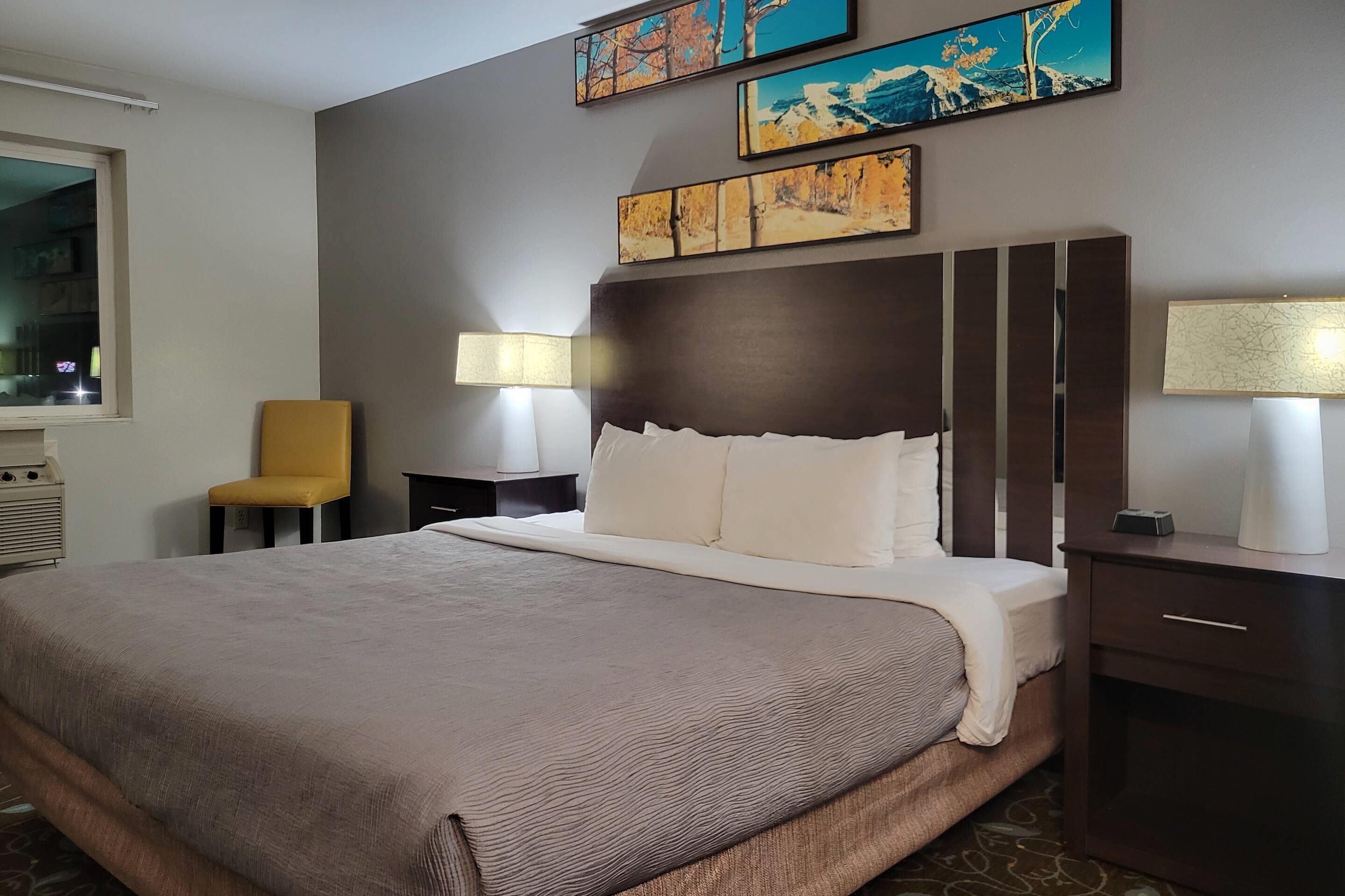 Standard Room, 1 King Bed, Non Smoking | Soundproofing, iron/ironing board, free WiFi, bed sheets