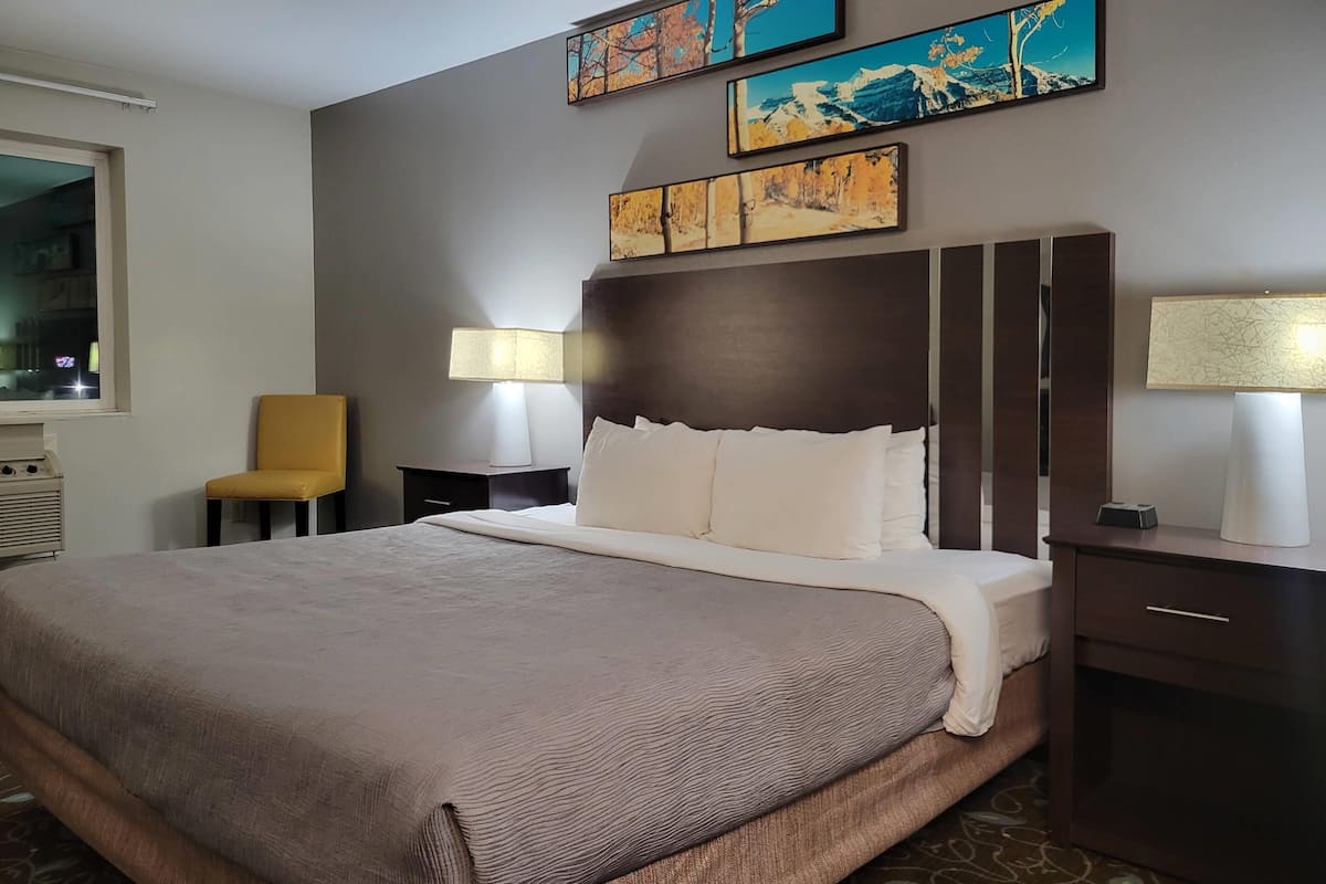 Standard Room, 1 King Bed, Non Smoking | Soundproofing, iron/ironing board, free WiFi, bed sheets