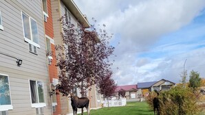A residential area with a grassy lawn, a tree, and a building with a red and beige facade. - Quality Inn & Suites Pinedale (Pinedale)