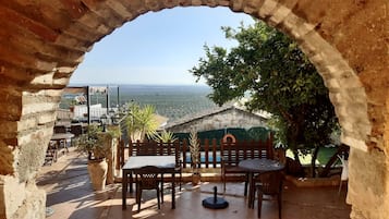 Seasonal outdoor pool, pool umbrellas, sun loungers