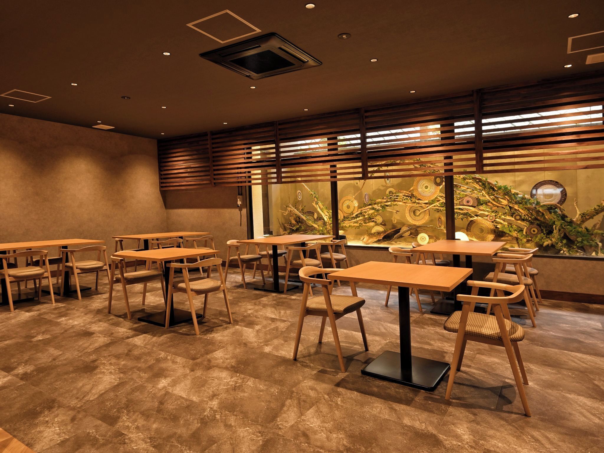 A restaurant interior with wooden tables and chairs, a decorative wall with circular patterns, and a ceiling with recessed lighting.
