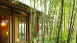 Um edifício moderno com amplas janelas de vidro e um jardim de bambu em frente.