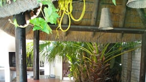 Poolside bar - Cape Town Palms (Cape Town)