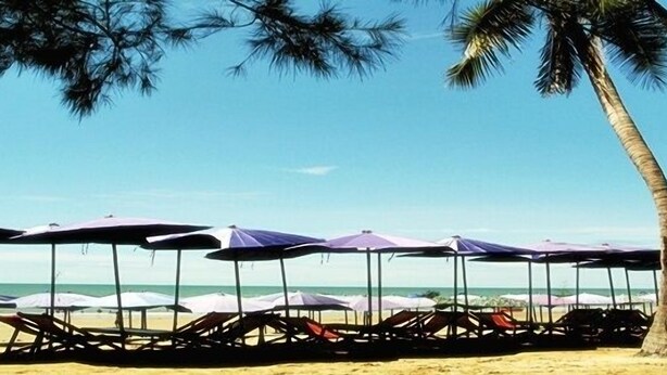 Een strand met rijen ligbedden en parasols.