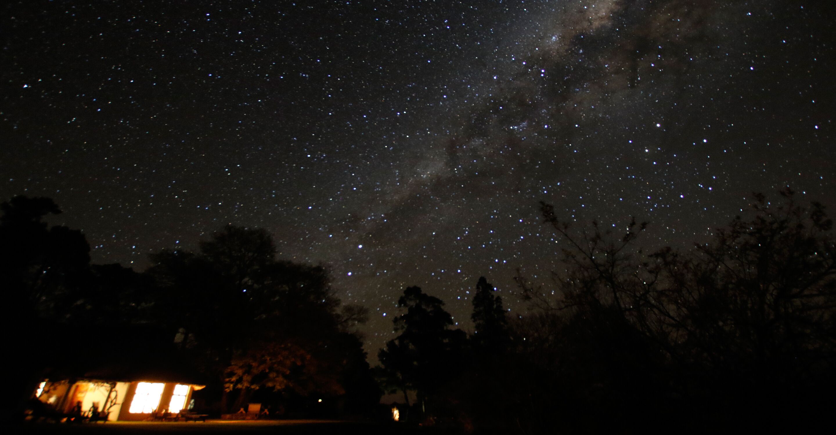 A night sky filled with stars, a visible Milky Way, and silhouettes of trees and a building with lights.