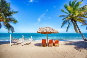 PlongĂ©e sous-marine, pĂȘche sur place