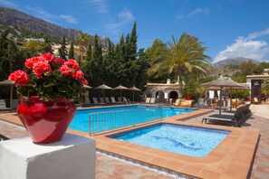 Swim-up bar