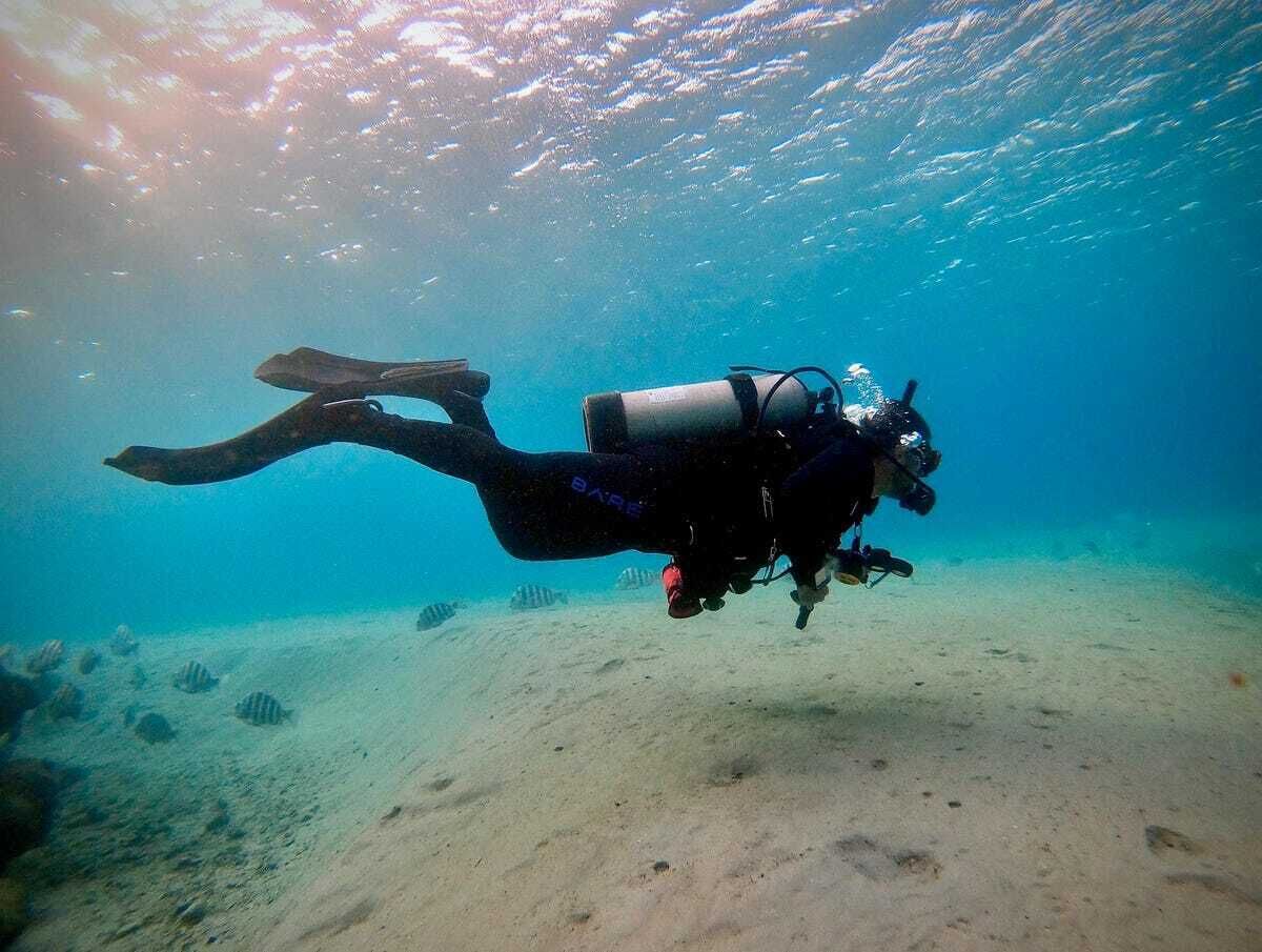 Un buceador bajo el agua con una cámara, rodeado de un lecho marino arenoso y vida marina.