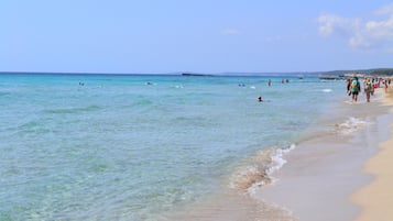 Scuba diving, windsurfing, surfing, sailing