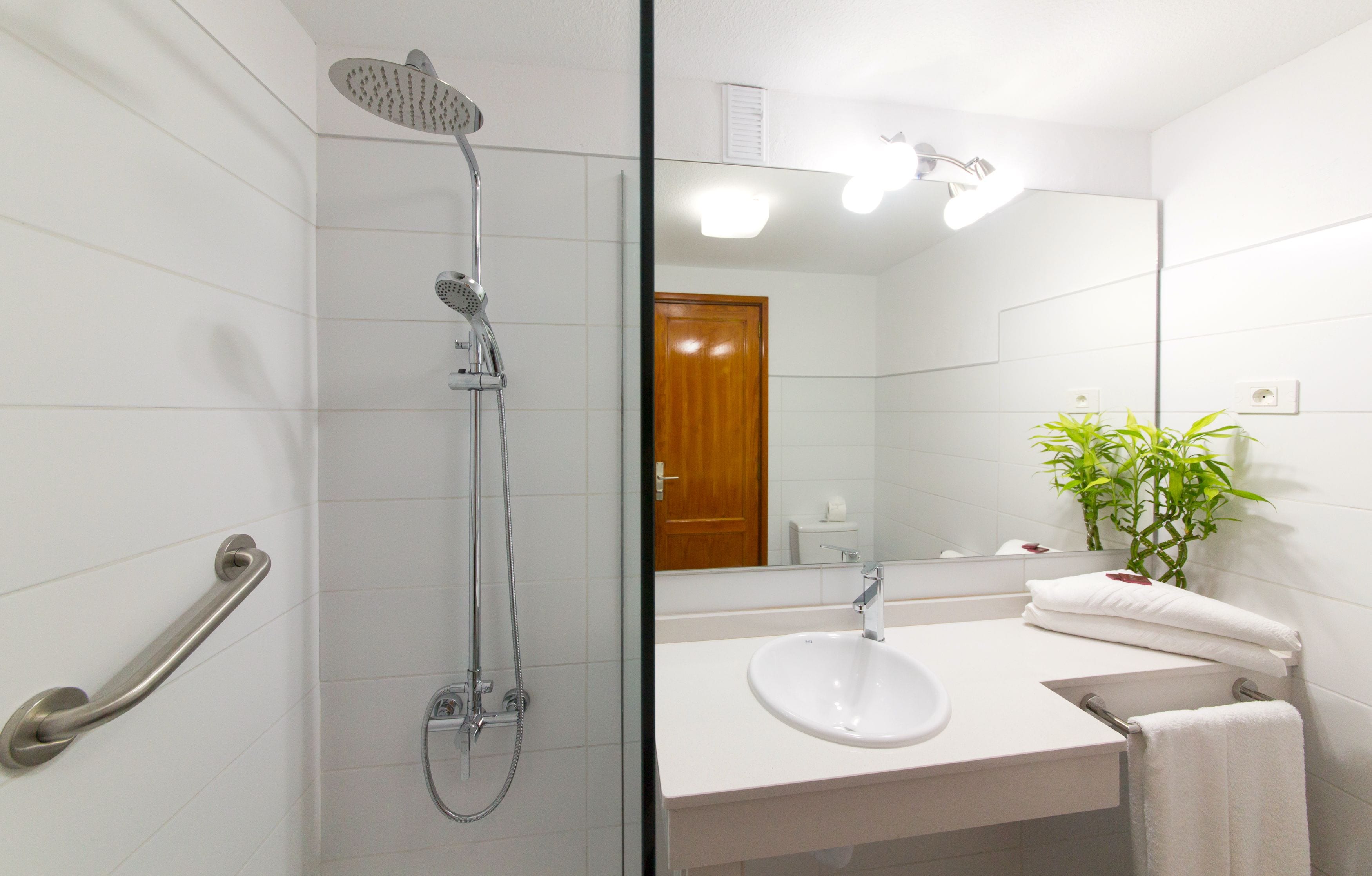 A bathroom with a shower, sink, mirror, and a potted plant.