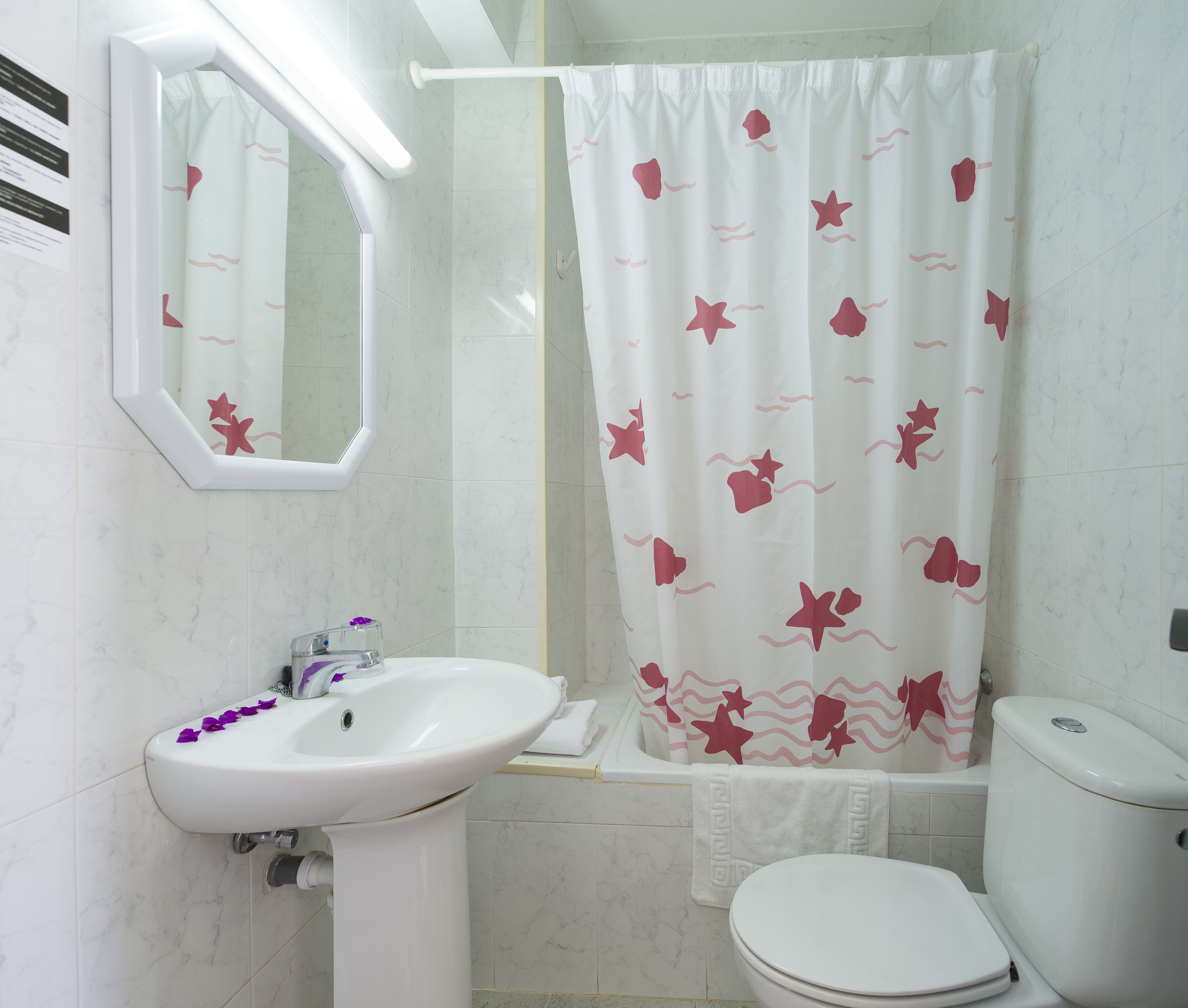 Photo - Hotel Anibal - AB Group