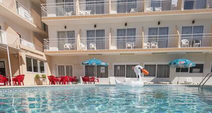 Hostal Anibal Ibiza