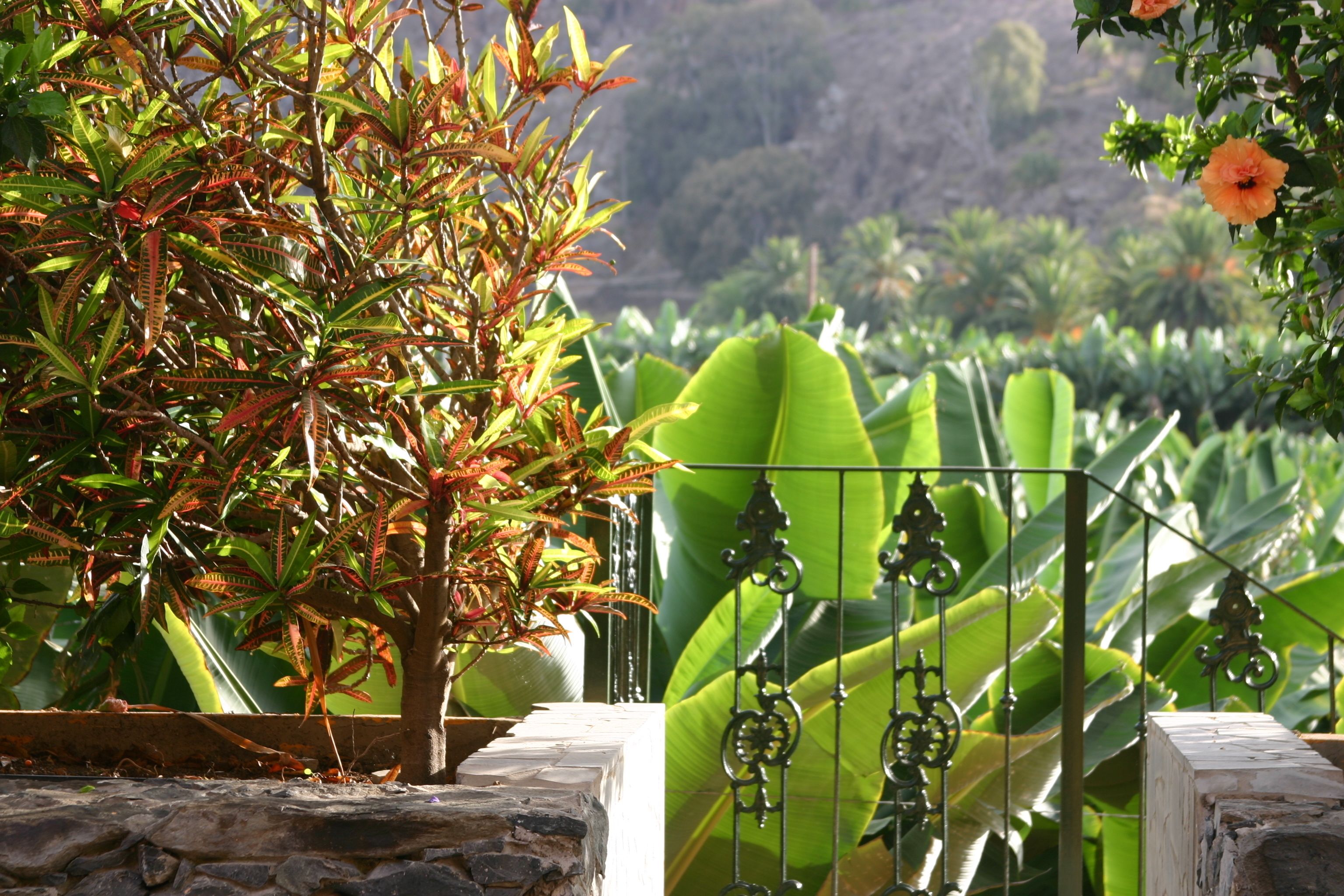 Photo - Hotel Rural Hacienda del Buen Suceso