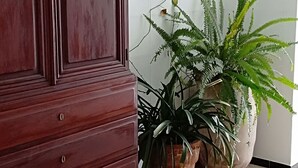 테라스/파티오