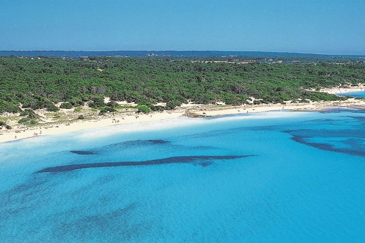 Playa