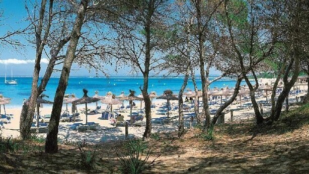 A beach with umbrellas and lounge chairs, trees, and a clear blue sea. - Apartamentos ES Trenc (Ses Salines)