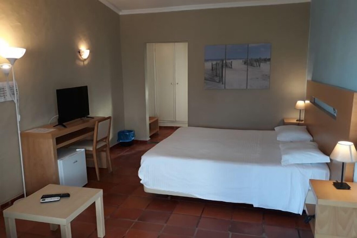 Une chambre d’hôtel avec un lit, un bureau, une chaise, une télévision et un tableau au mur.