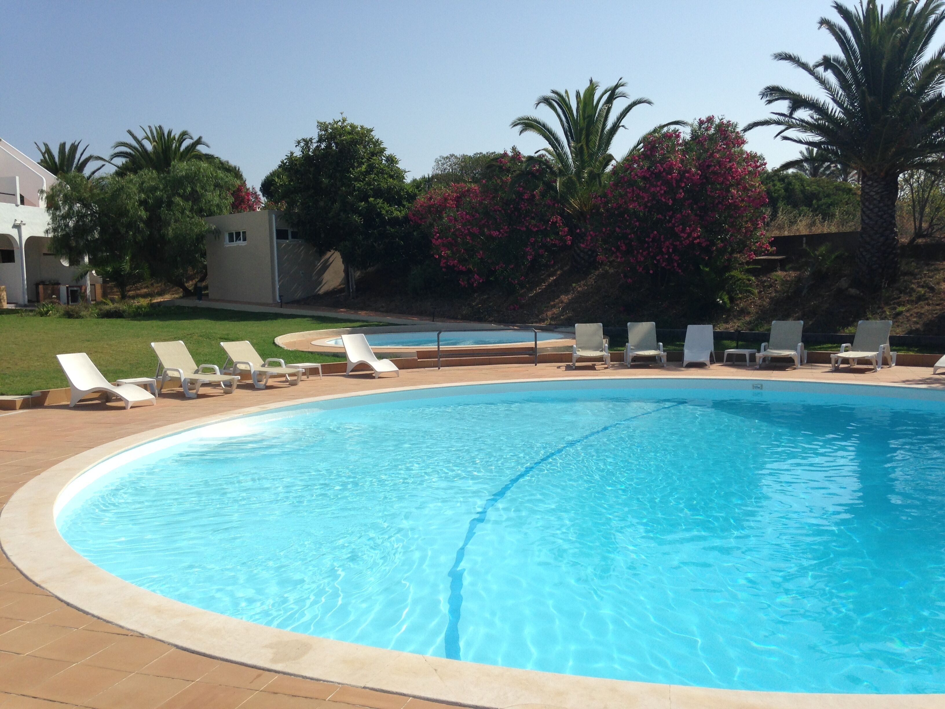 Piscina com espreguiçadeiras e palmeiras.