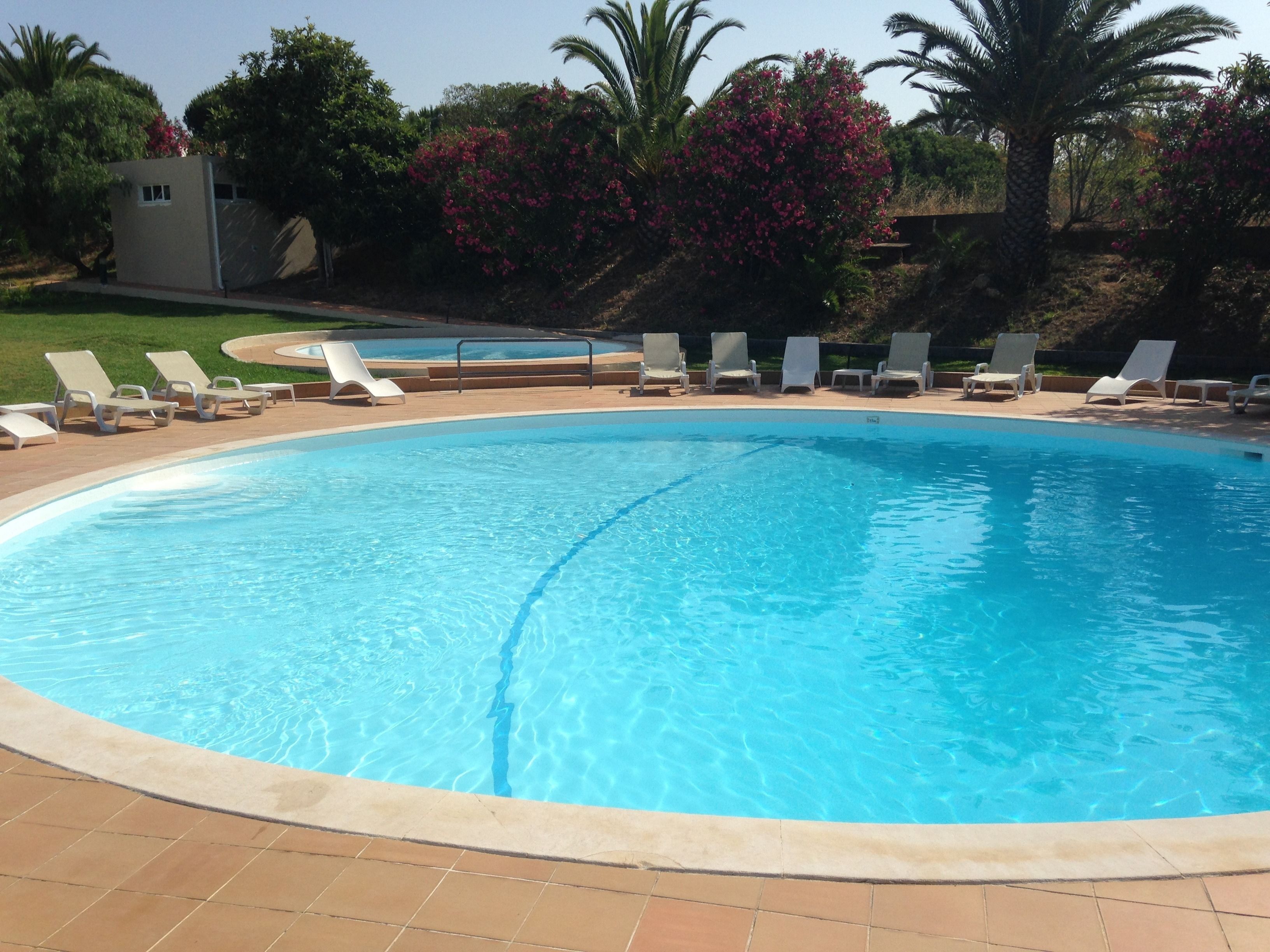 A swimming pool with clear blue water, surrounded by lounge chairs and palm trees.
