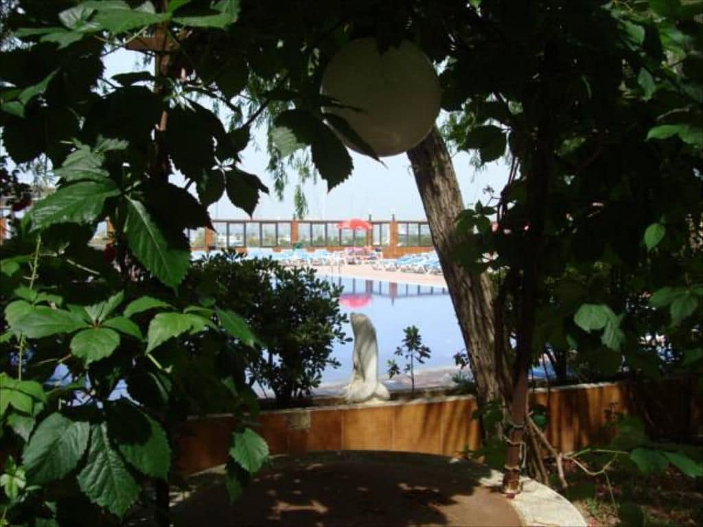 A pool area with a statue, surrounded by greenery and a wooden fence.
