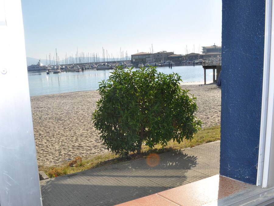 Vista de una playa con un arbusto pequeño en primer plano, una orilla arenosa y un muelle que se adentra en el agua.