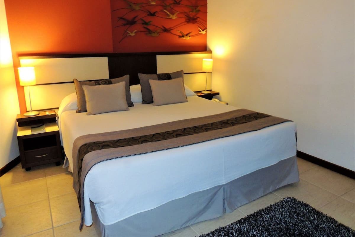 Habitación de hotel con una cama, dos mesitas de noche, una lámpara de noche, una obra de arte en la pared y una alfombra.