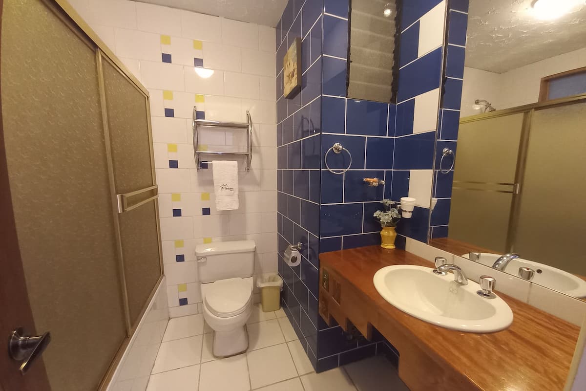 Dusche, Regendusche, kostenlose Toilettenartikel, Haartrockner