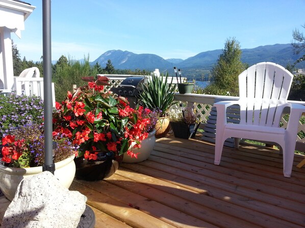 テラス / パティオ