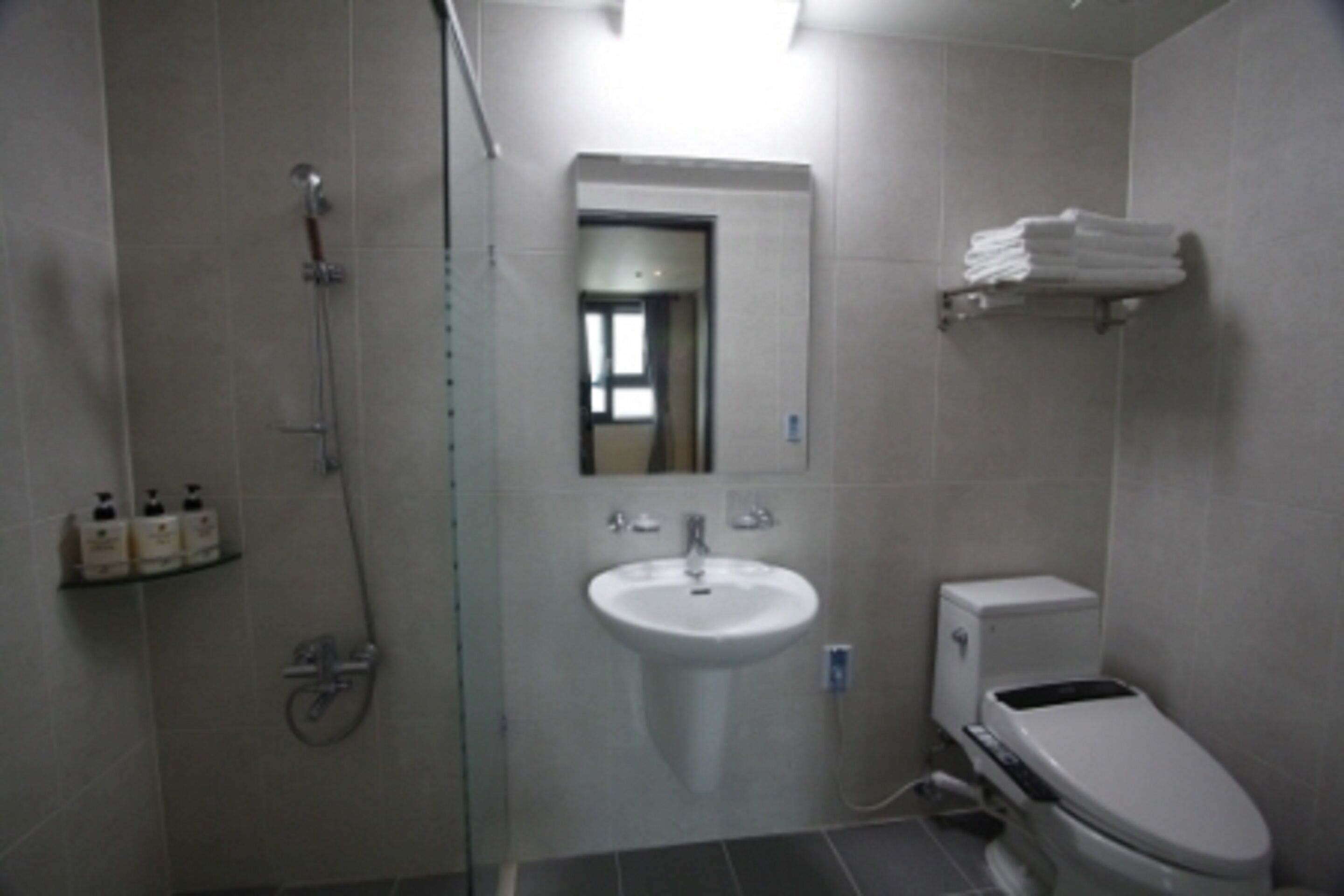 shower, hair dryer, slippers, bidet