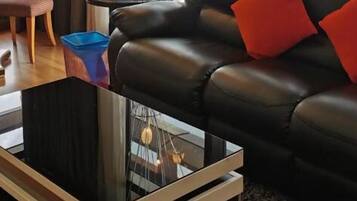 53-inch LCD TV with satellite channels, TV
