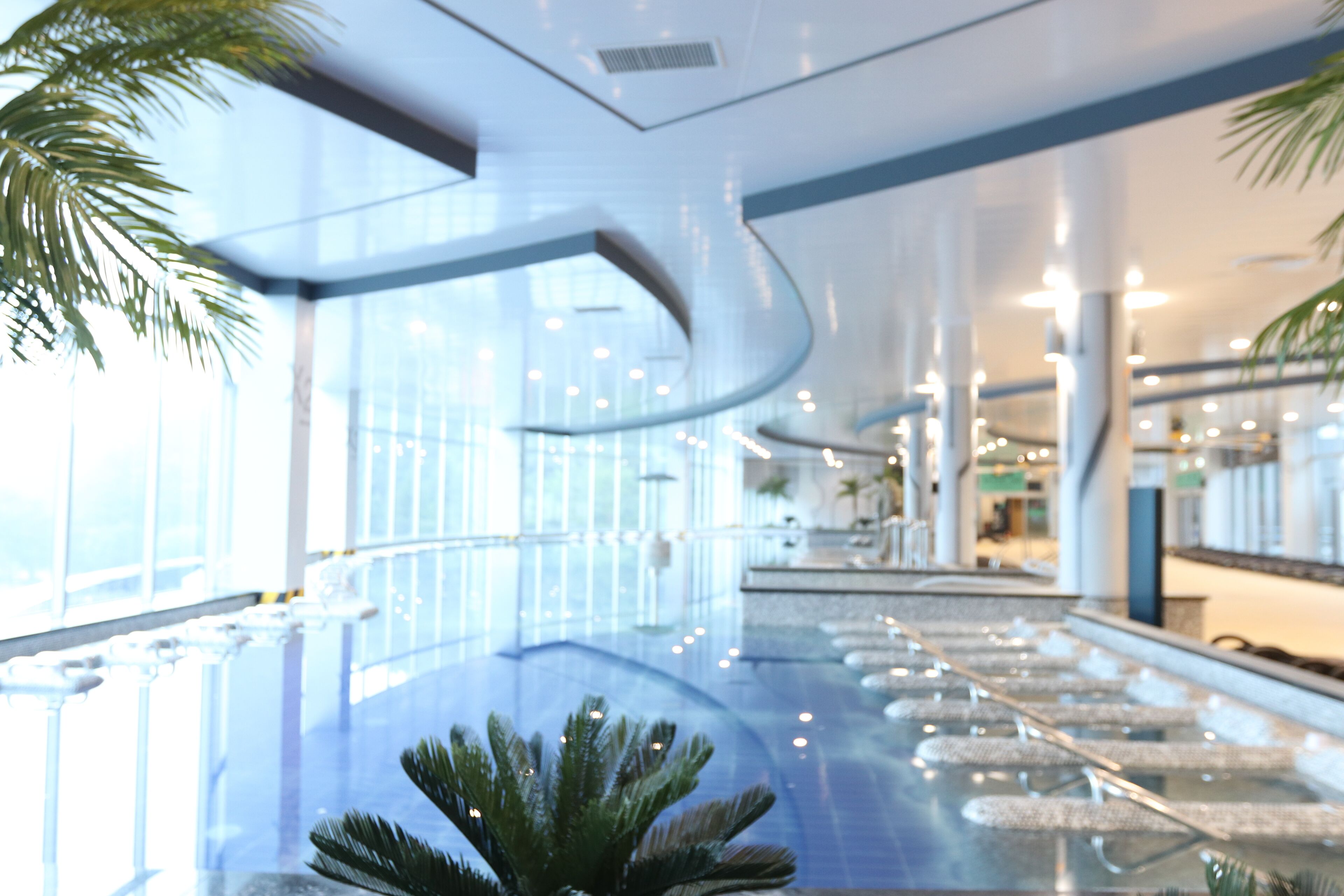 A modern indoor pool area with glass railings, palm trees, and a curved ceiling design.