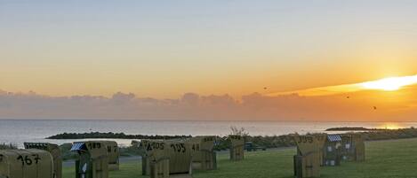 Beachside accommodation with numbered tents, a grassy area, and a sunset view.