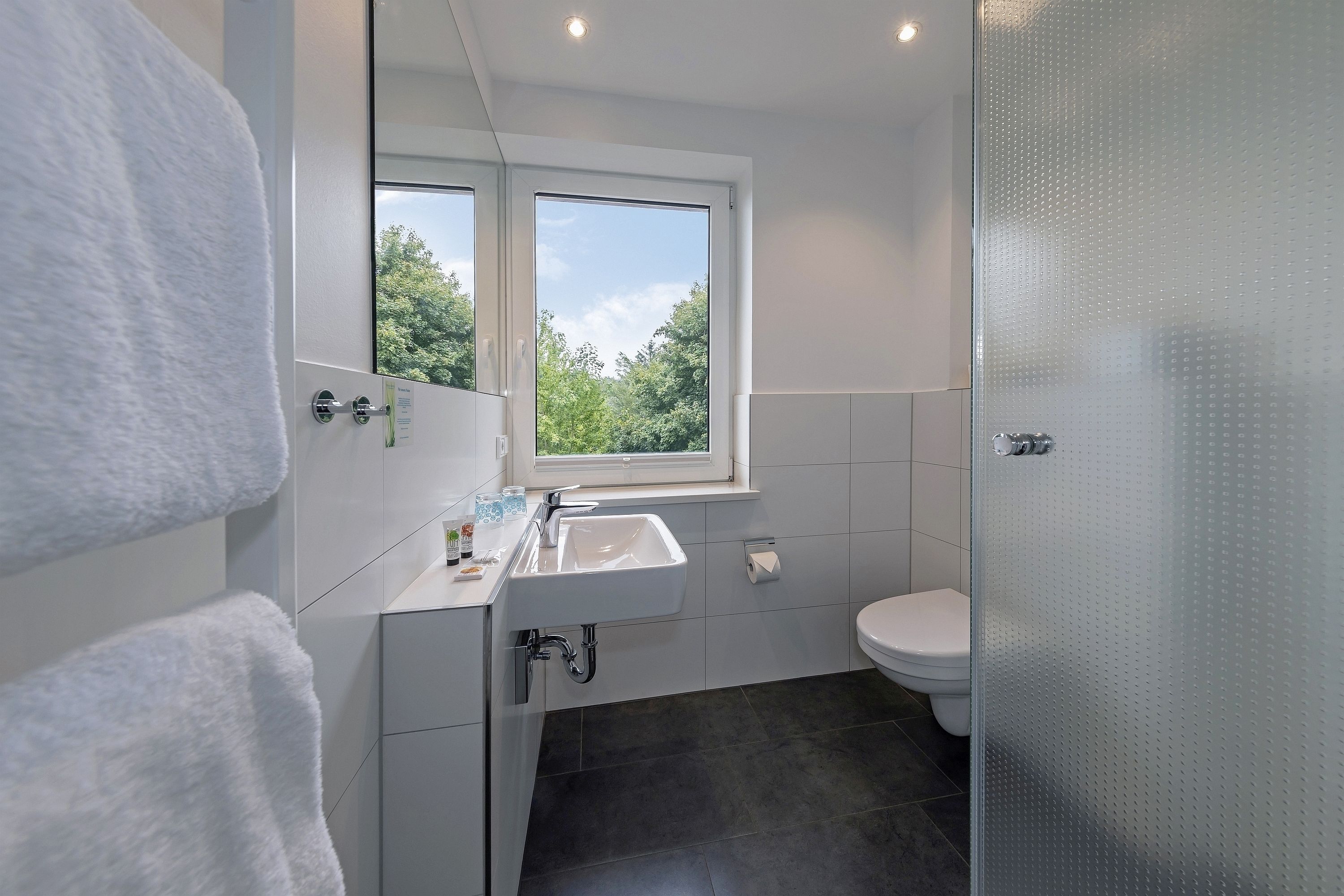 shower, free toiletries, hair dryer, towels