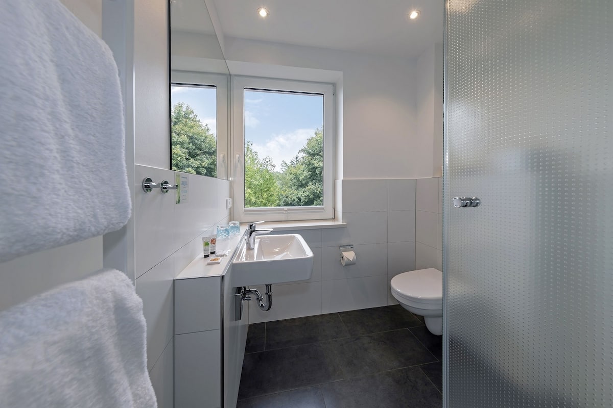 shower, free toiletries, hair dryer, towels