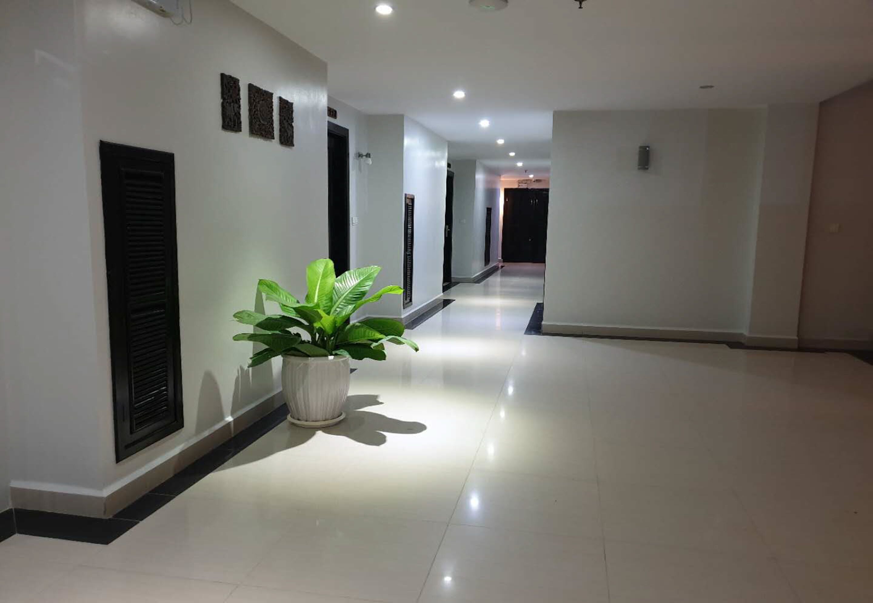 A modern hallway with a potted plant, recessed lighting, and a clean, polished floor.