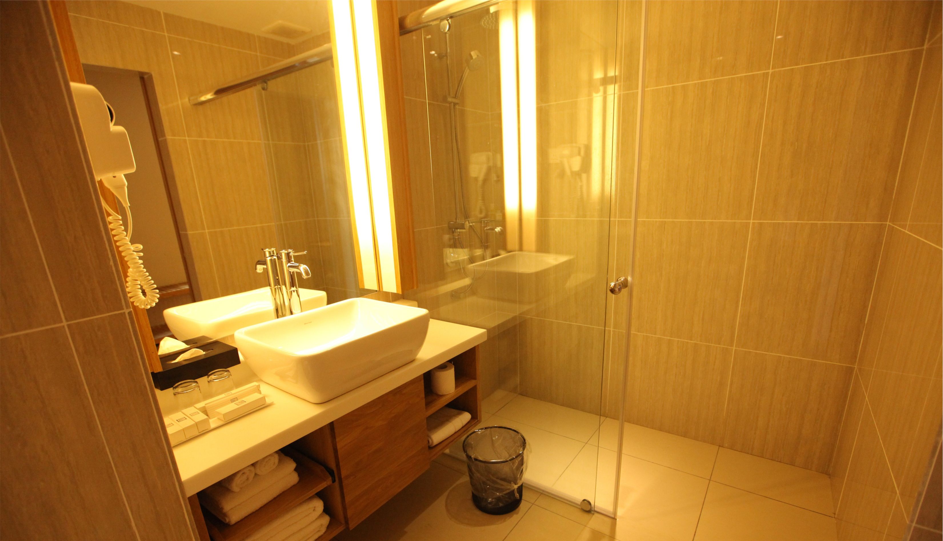 free toiletries, hair dryer, bidet, towels