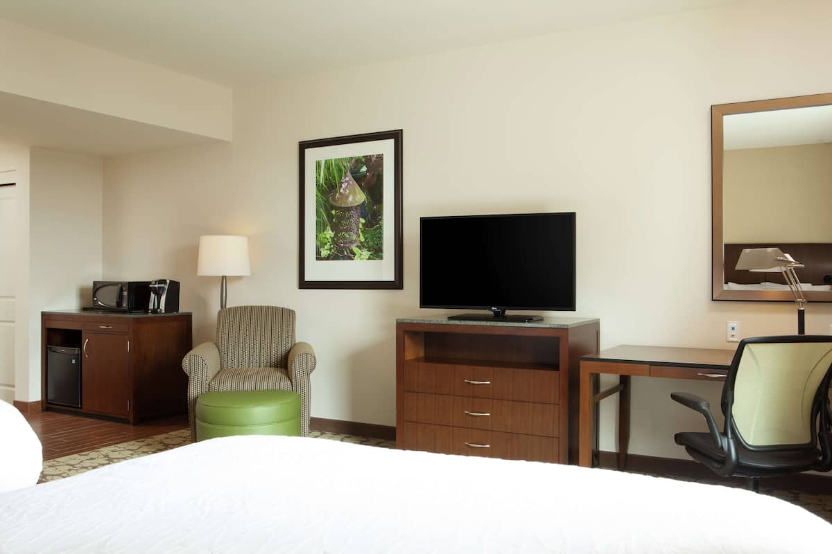 A hotel room with a bed, a desk, a television, a chair, a small cabinet, and a framed picture on the wall.