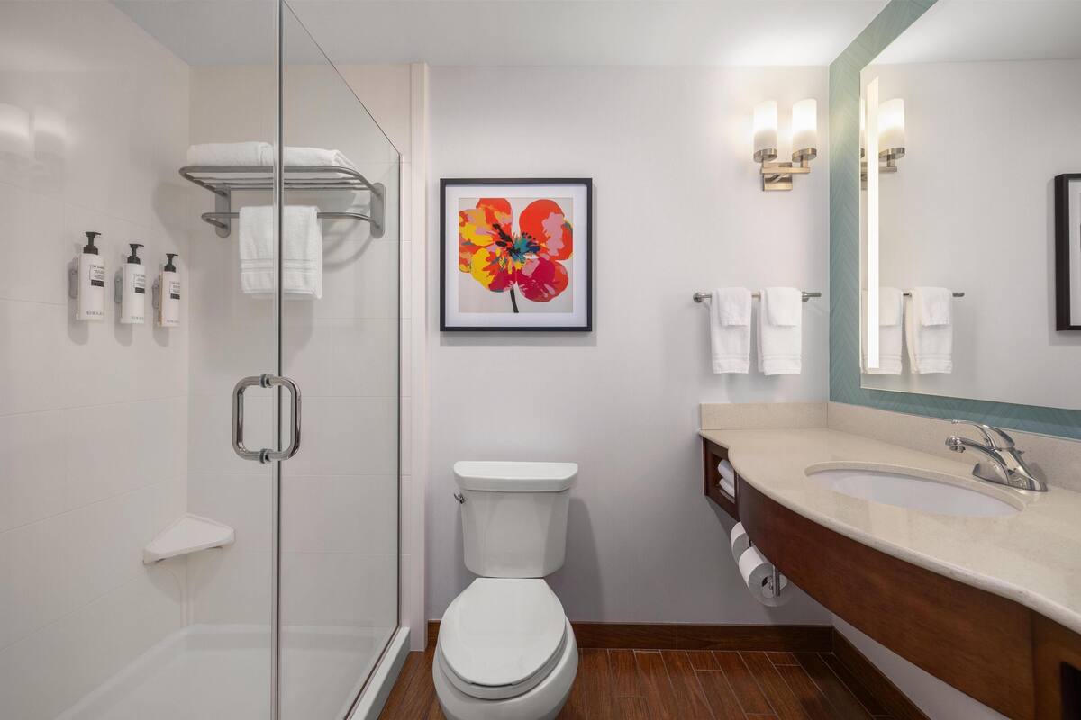 Combined shower/bathtub, free toiletries, towels
