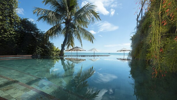 Ein klarer Infinity-Pool mit Blick auf den Ozean und einen Steg, umgeben von Palmen und viel Grün.